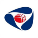 blessindo logo